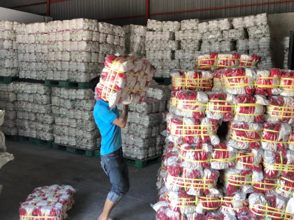 CÔNG TY TNHH MỘT THÀNH VIÊN GĂNG TAY KIM LONG
